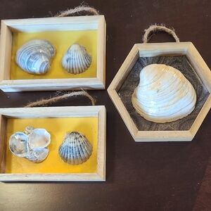 Coastal Shell Wall Decor Set - Natural and Yellow
